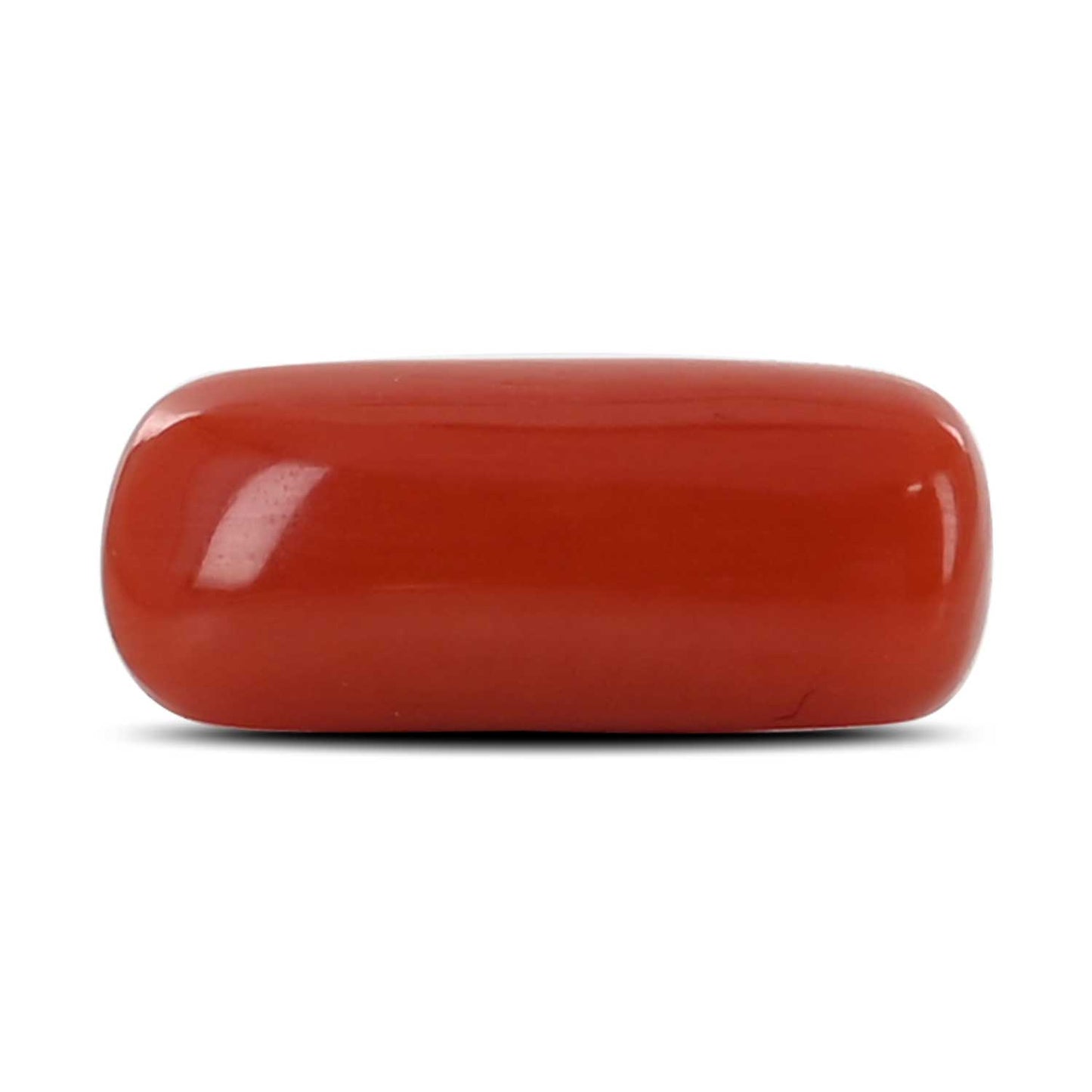 Red Coral (Moonga) - 4.36 Carat