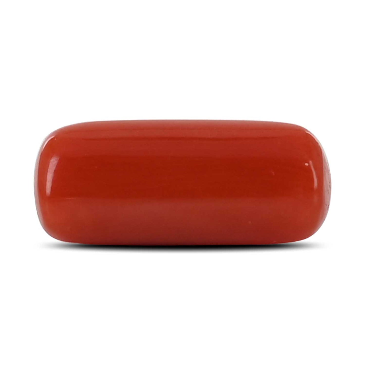 Red Coral (Moonga) - 4.36 Carat