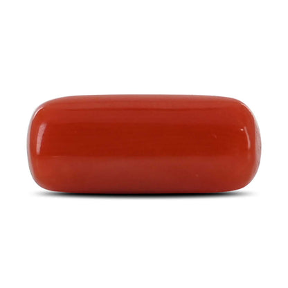 Red Coral (Moonga) - 4.36 Carat