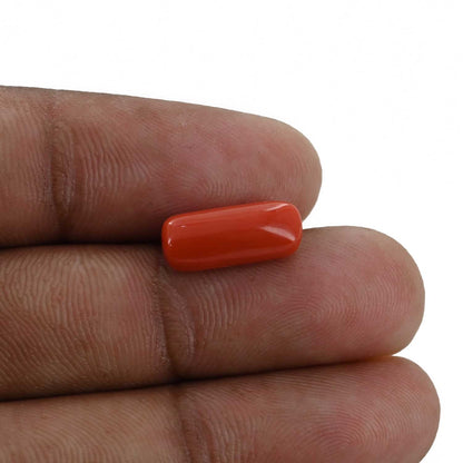 Red Coral (Moonga) - 4.36 Carat