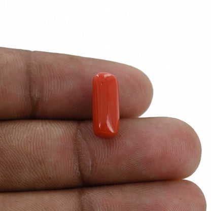 Red Coral (Moonga) - 4.36 Carat
