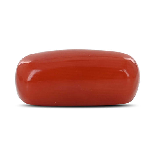 Red Coral (Moonga) - 3.94 Carat