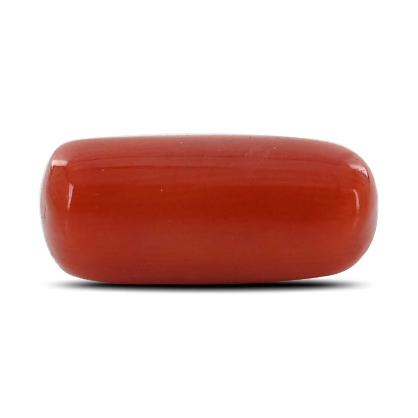 Red Coral (Moonga) - 3.94 Carat