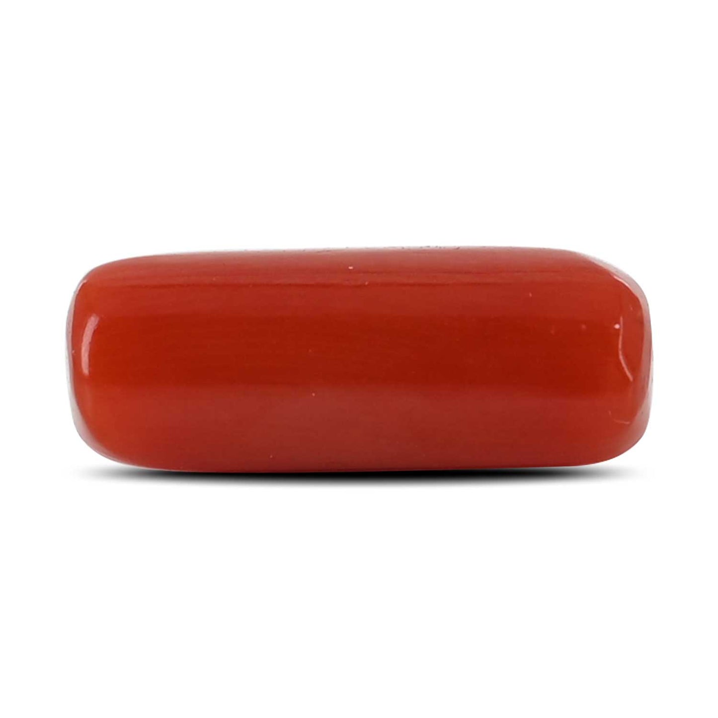 Red Coral (Moonga) - 4.32 Carat