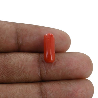 Red Coral (Moonga) - 4.32 Carat