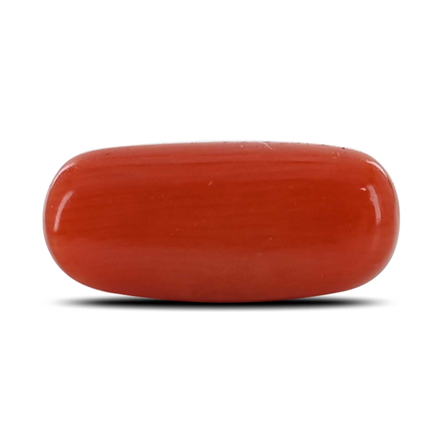 Red Coral (Moonga) - 3.88 Carat