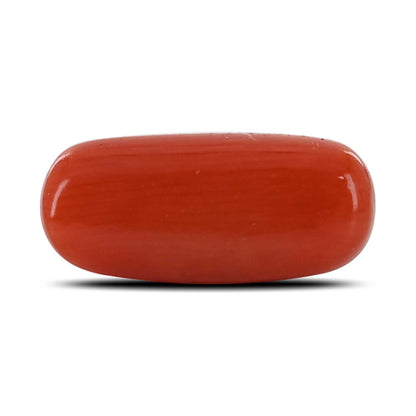 Red Coral (Moonga) - 3.88 Carat