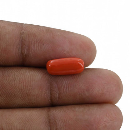 Red Coral (Moonga) - 3.88 Carat