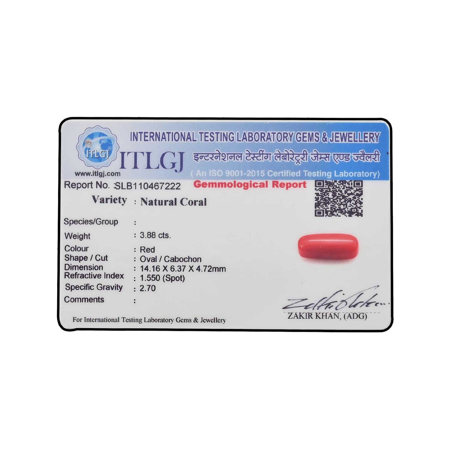 Red Coral (Moonga) - 3.88 Carat