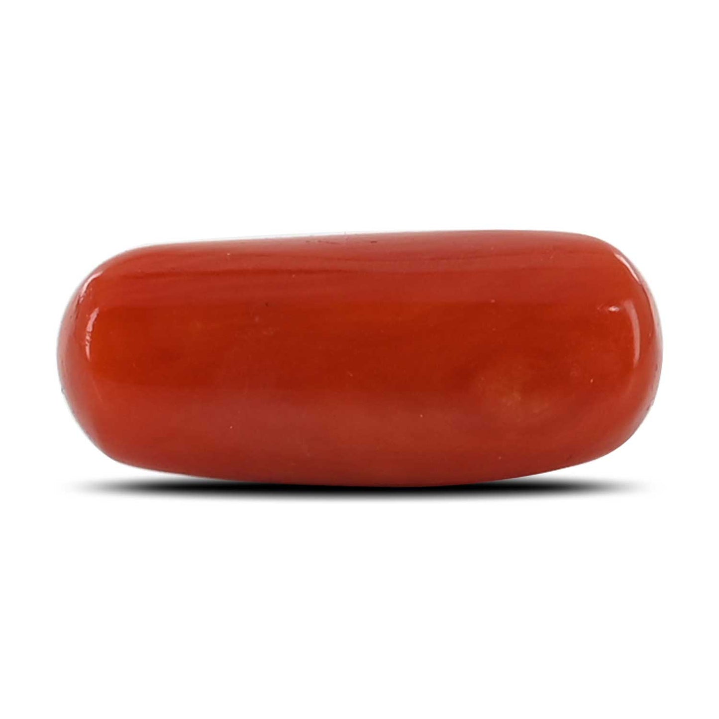 Red Coral (Moonga) - 4.42 Carat