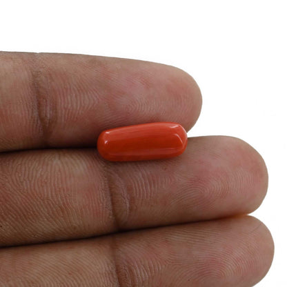 Red Coral (Moonga) - 4.42 Carat