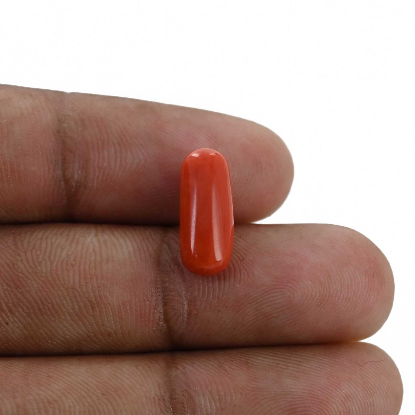 Red Coral (Moonga) - 4.42 Carat