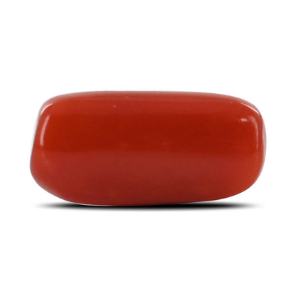 Red Coral (Moonga) - 4.35 Carat