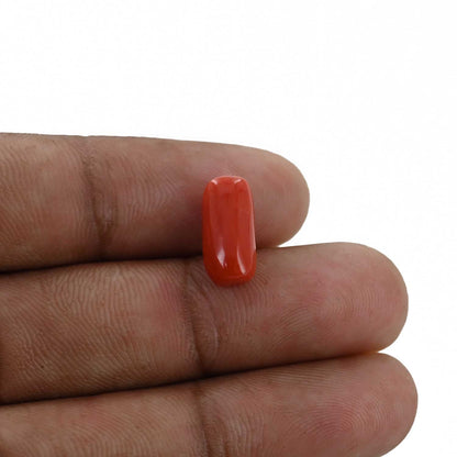 Red Coral (Moonga) - 4.35 Carat