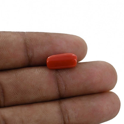Red Coral (Moonga) - 4.35 Carat