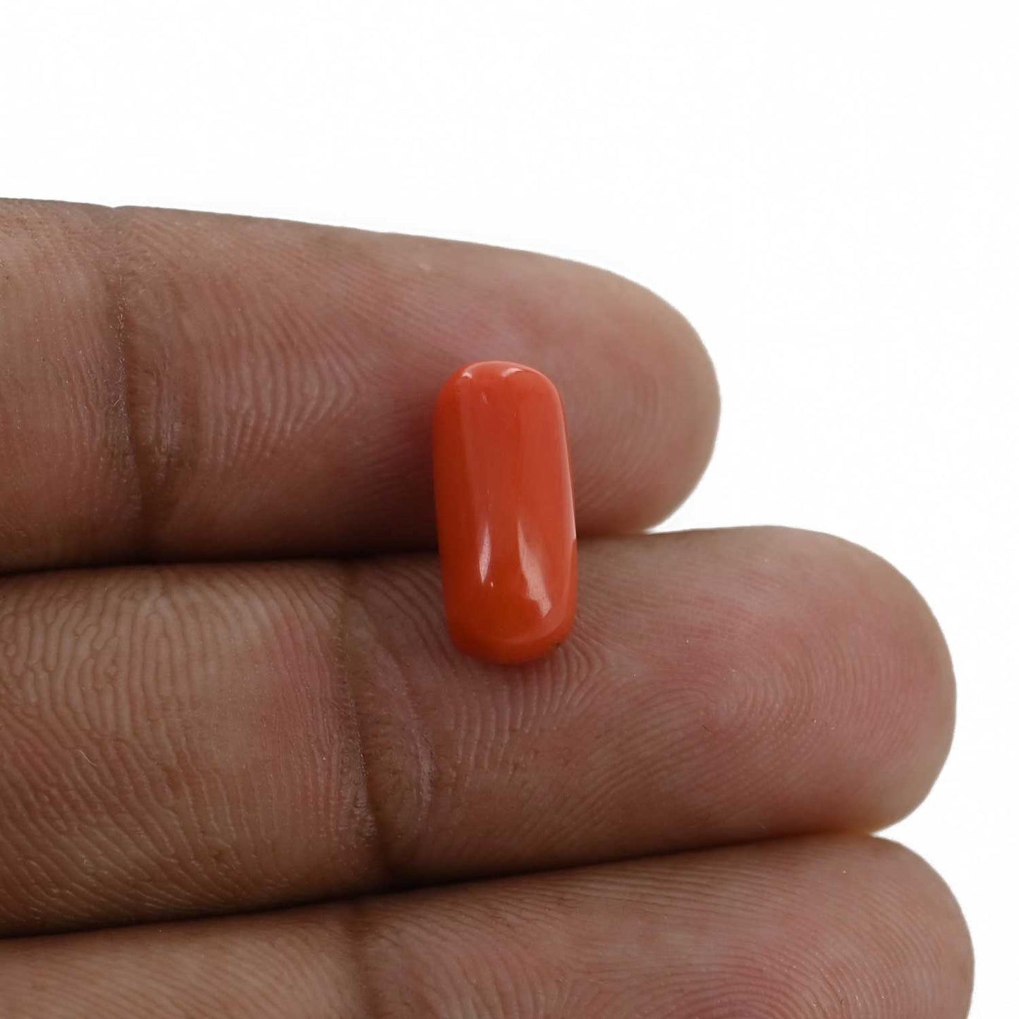 Red Coral (Moonga) - 3.71 Carat