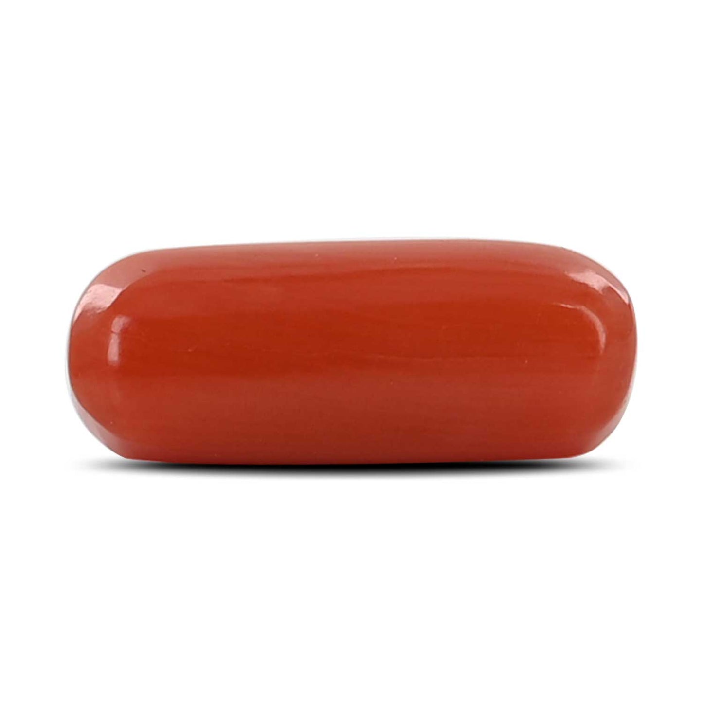 Red Coral (Moonga) - 4.1 Carat