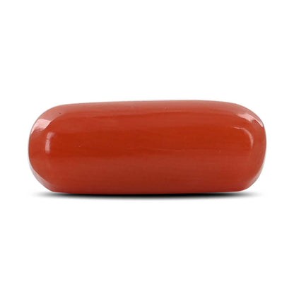 Red Coral (Moonga) - 4.1 Carat