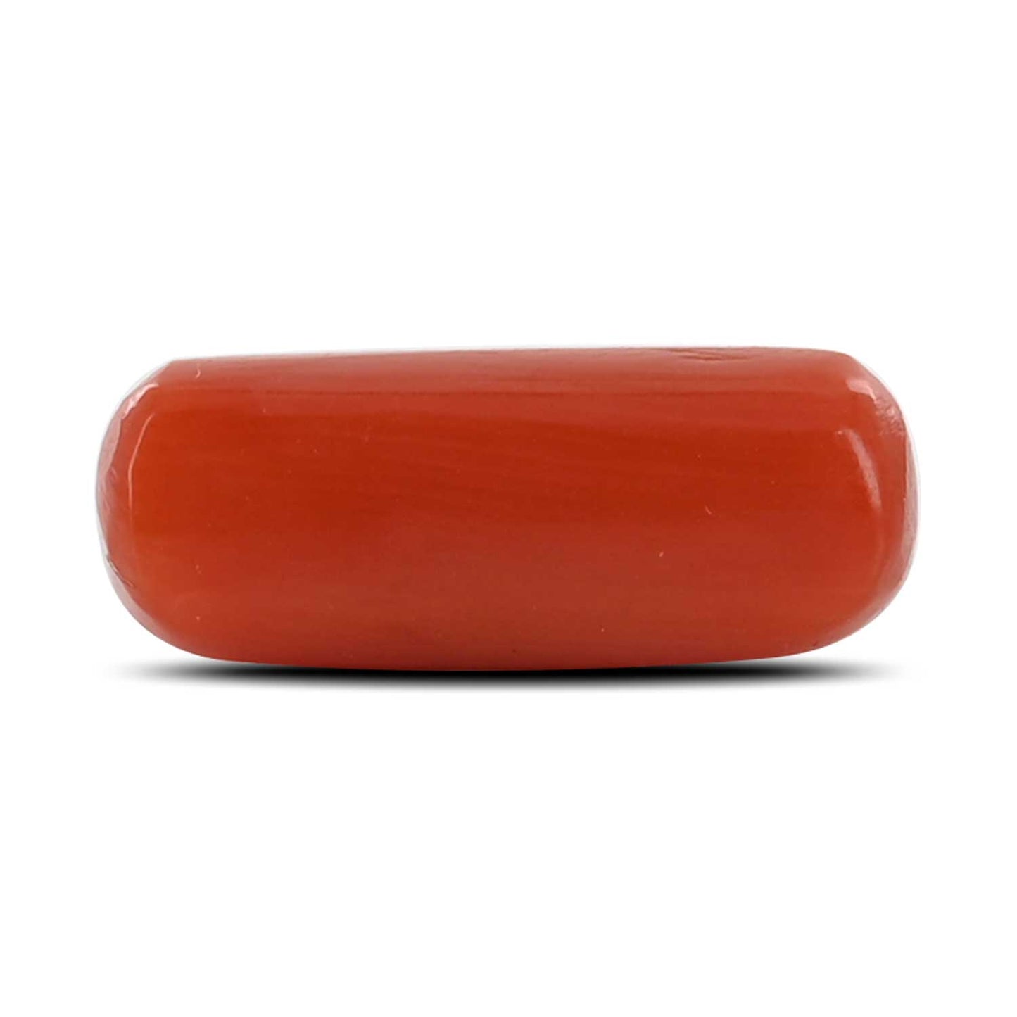 Red Coral (Moonga) - 4.1 Carat