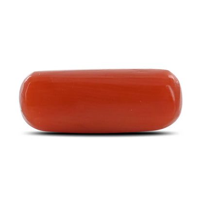 Red Coral (Moonga) - 4.1 Carat