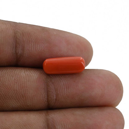 Red Coral (Moonga) - 4.1 Carat