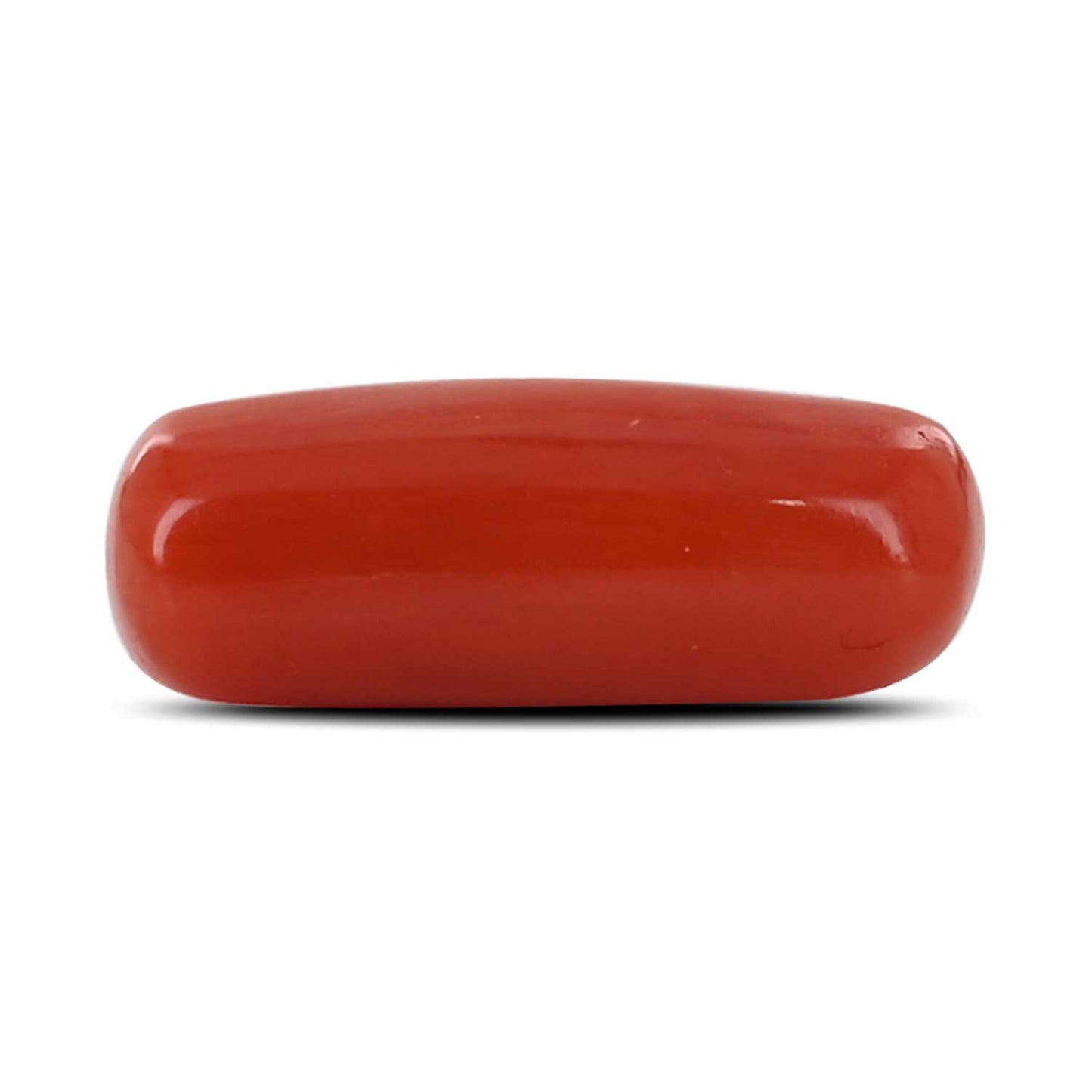 Red Coral (Moonga) - 4.53 Carat