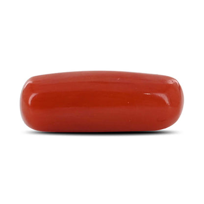 Red Coral (Moonga) - 4.53 Carat