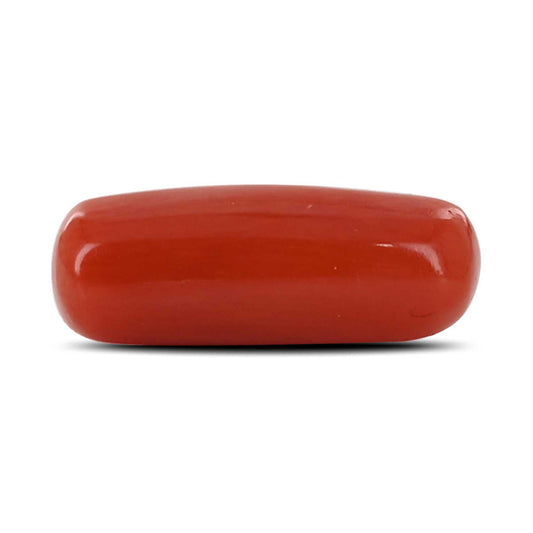 Red Coral (Moonga) - 4.53 Carat