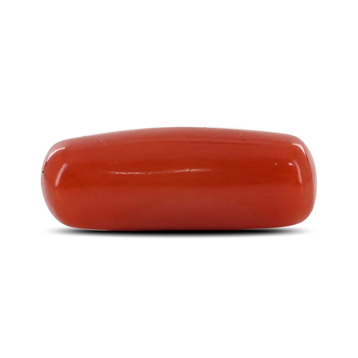 Red Coral (Moonga) - 4.53 Carat