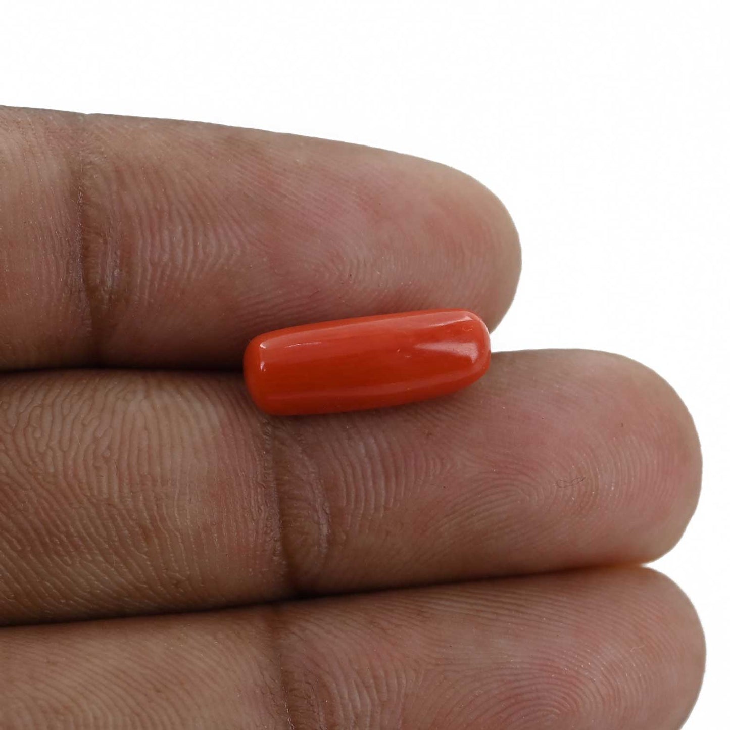 Red Coral (Moonga) - 4.53 Carat