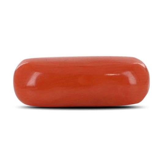 Red Coral (Moonga) - 3.81 Carat