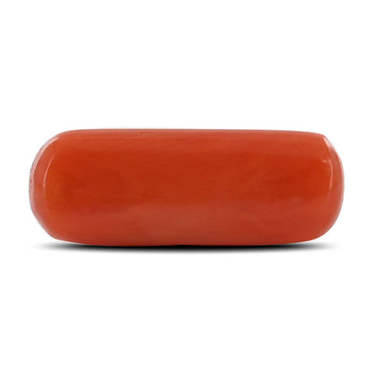 Red Coral (Moonga) - 3.81 Carat