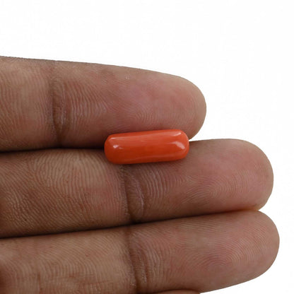 Red Coral (Moonga) - 3.81 Carat