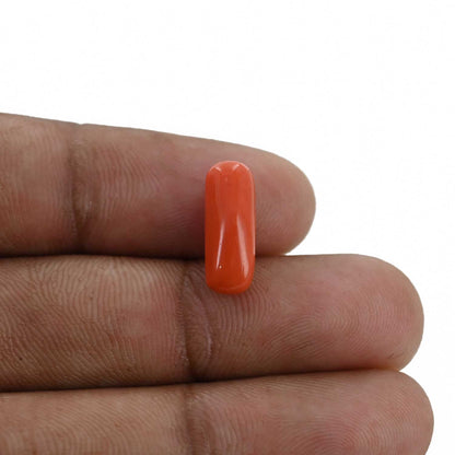 Red Coral (Moonga) - 3.81 Carat