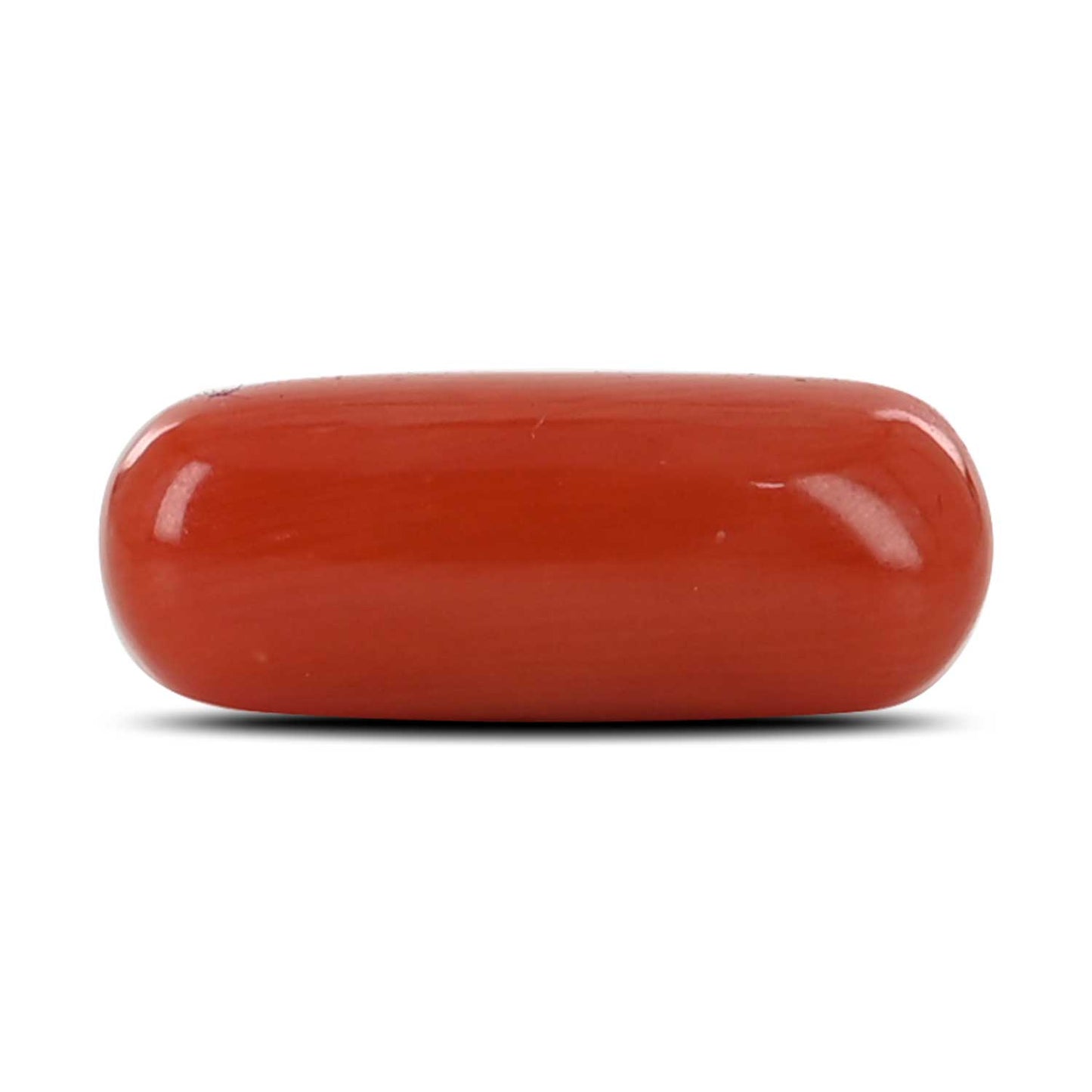 Red Coral (Moonga) - 4.47 Carat