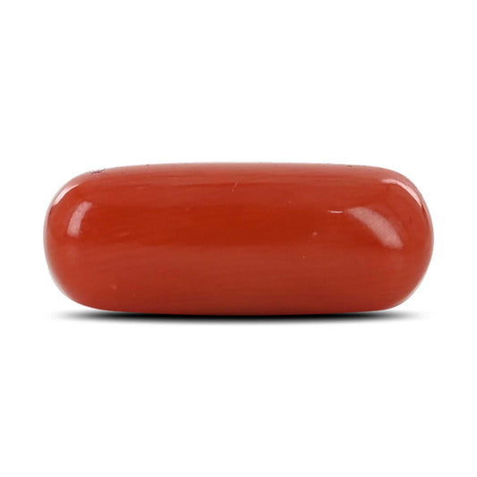 Red Coral (Moonga) - 4.47 Carat