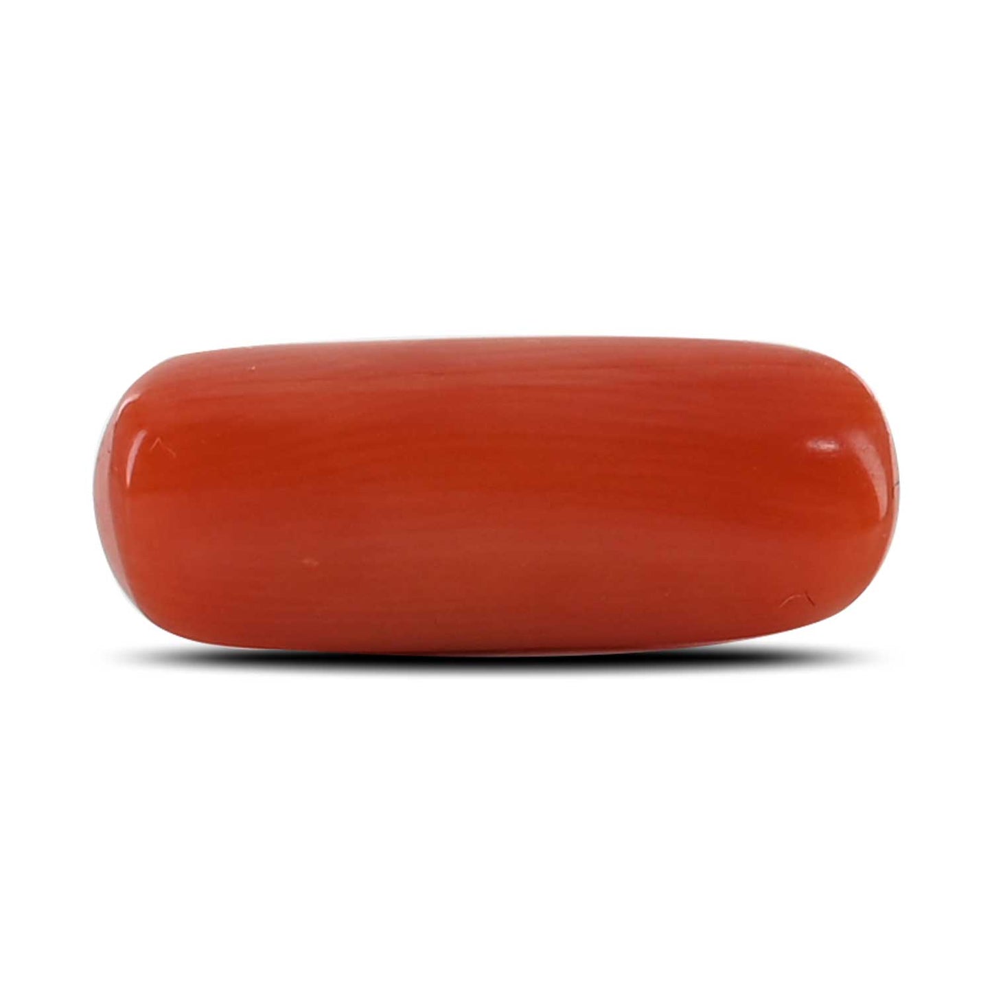 Red Coral (Moonga) - 4.47 Carat