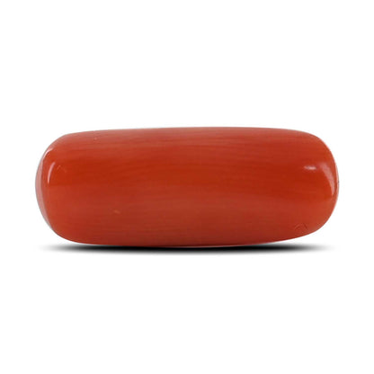 Red Coral (Moonga) - 4.47 Carat