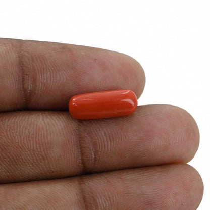 Red Coral (Moonga) - 4.47 Carat