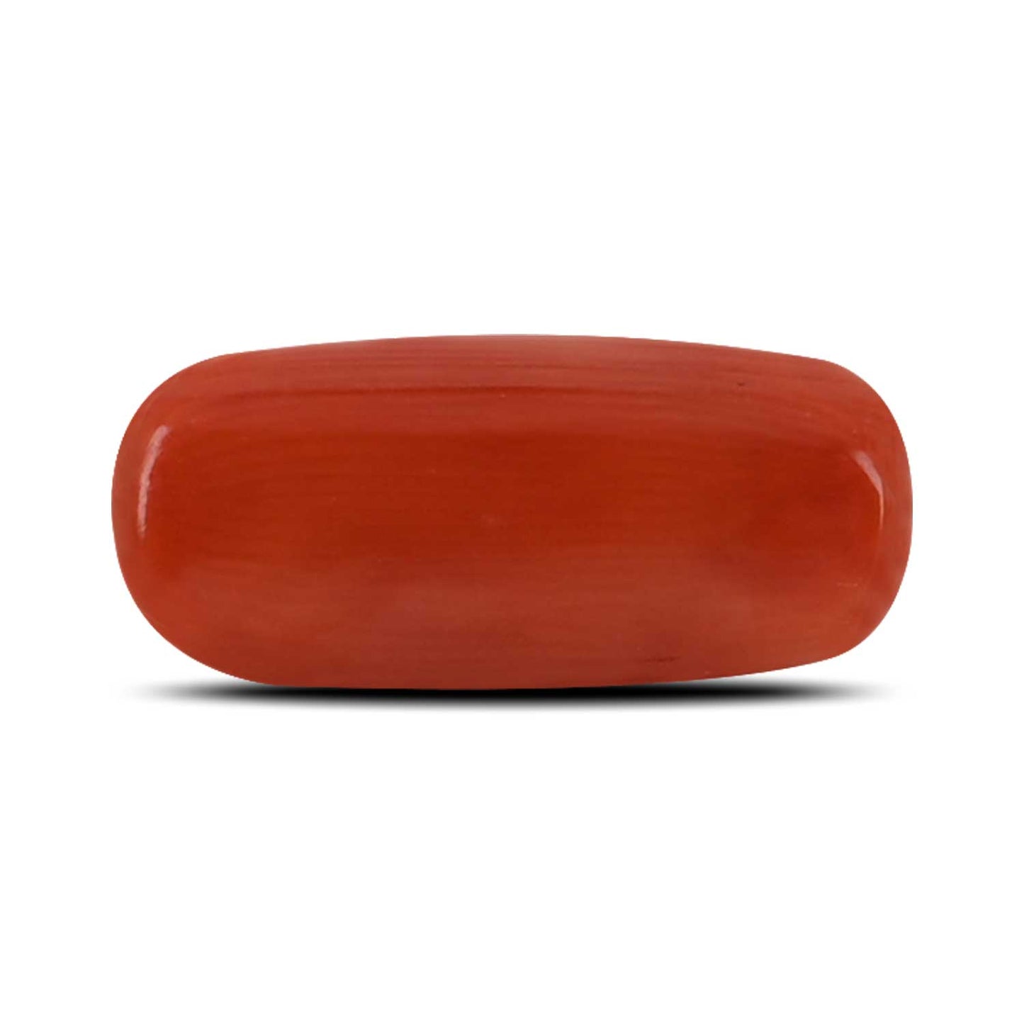 Red Coral (Moonga) - 4.16 Carat