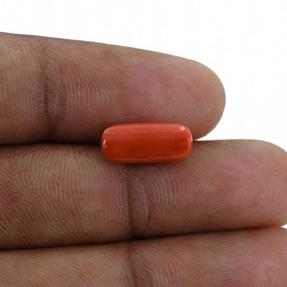 Red Coral (Moonga) - 4.16 Carat