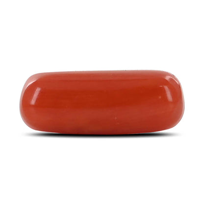 Red Coral (Moonga) - 3.98 Carat