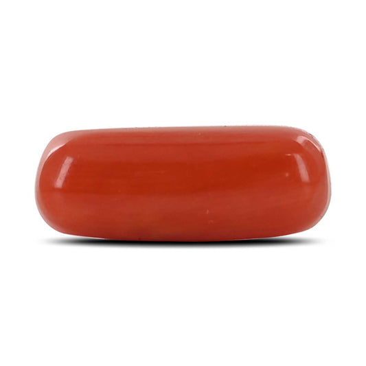 Red Coral (Moonga) - 3.98 Carat