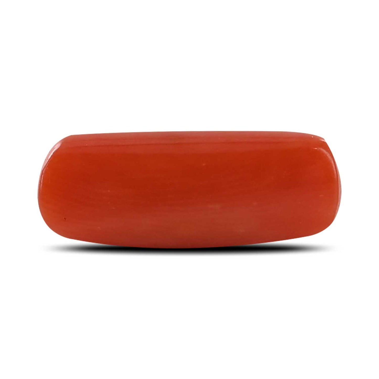 Red Coral (Moonga) - 3.98 Carat