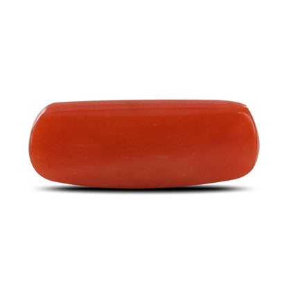 Red Coral (Moonga) - 3.98 Carat