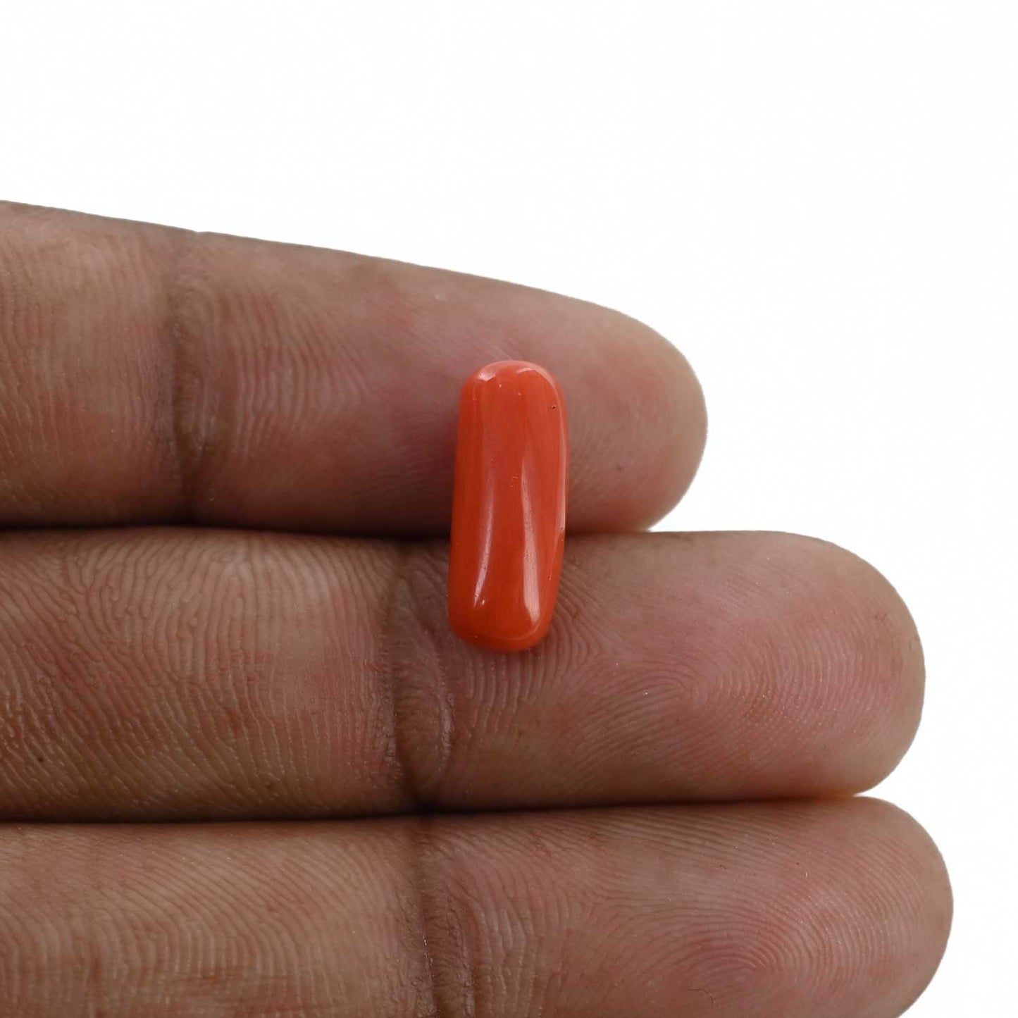Red Coral (Moonga) - 3.98 Carat