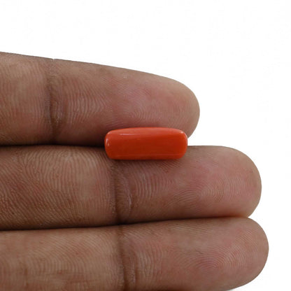 Red Coral (Moonga) - 3.98 Carat