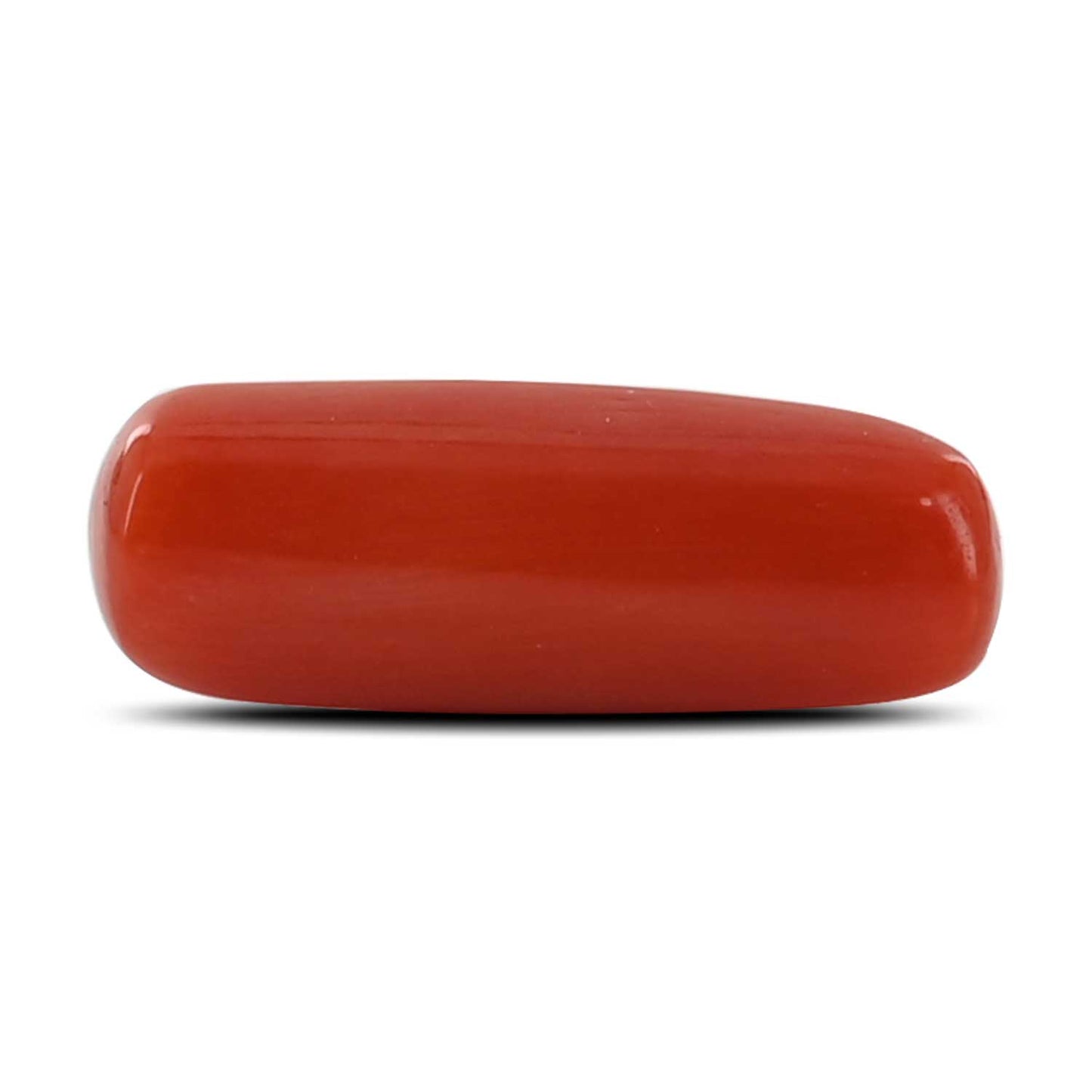 Red Coral (Moonga) - 4.26 Carat