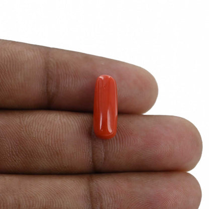 Red Coral (Moonga) - 4.26 Carat