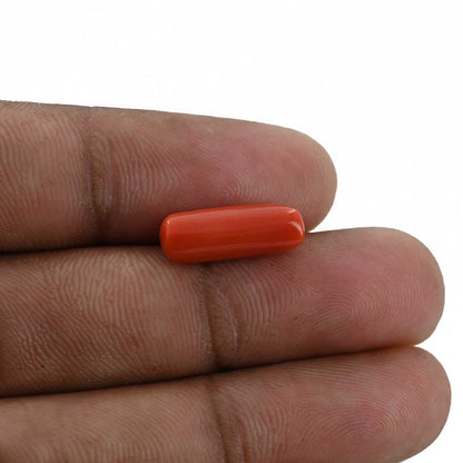 Red Coral (Moonga) - 4.26 Carat